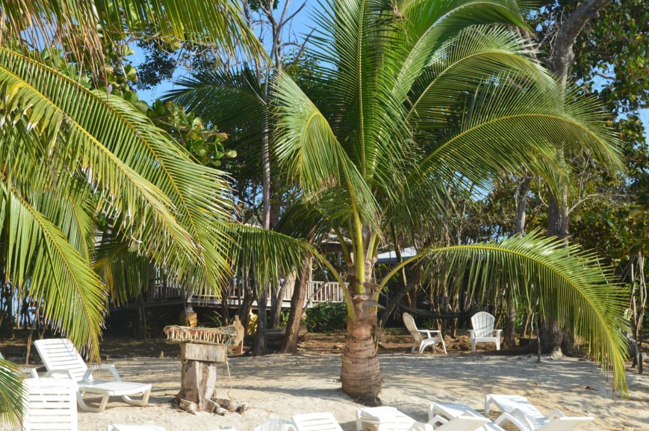 Sonny Island Resort Cabanas Frente Al Mar Punta Bajo Rico Eksteriør bilde